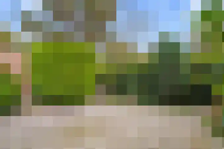 Akkerwinde 9 IJsselstein thumbnail 31