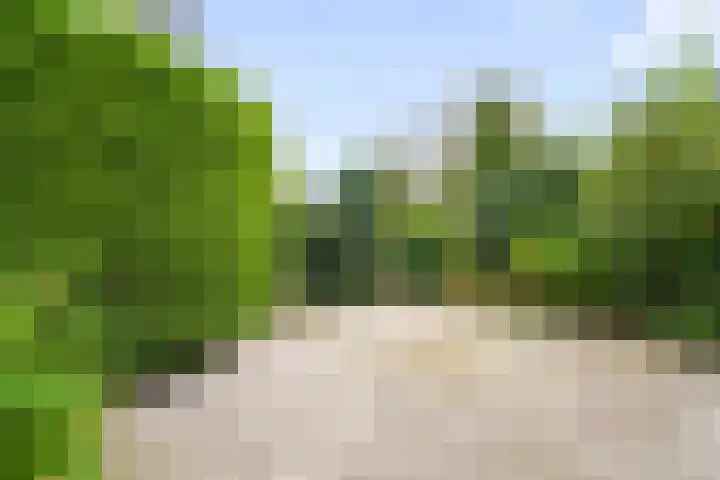 Akkerwinde 9 IJsselstein thumbnail 34