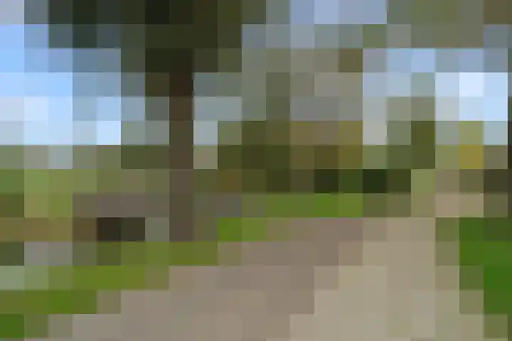 Akkerwinde 9 IJsselstein thumbnail 54