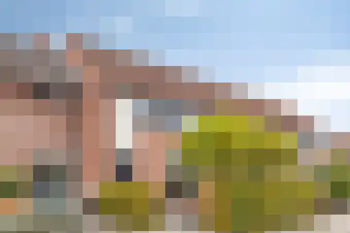 Akkerwindelaan 19 in Terneuzen