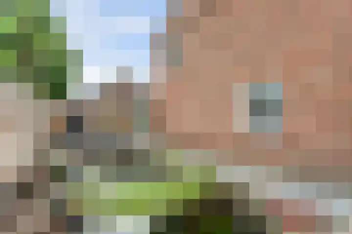 Akkerwindestraat 38 Wijchen thumbnail 37