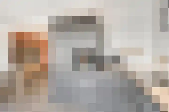 Alardstraat 42 Uden thumbnail 16