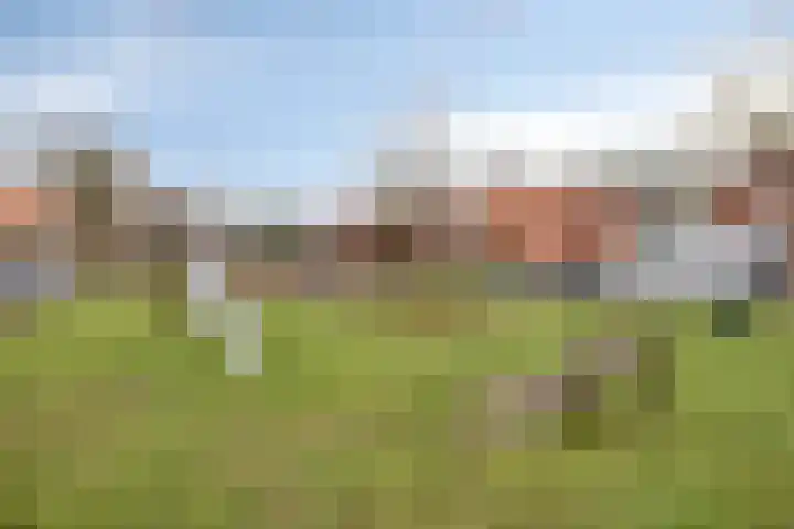 Alardstraat 42 Uden thumbnail 33