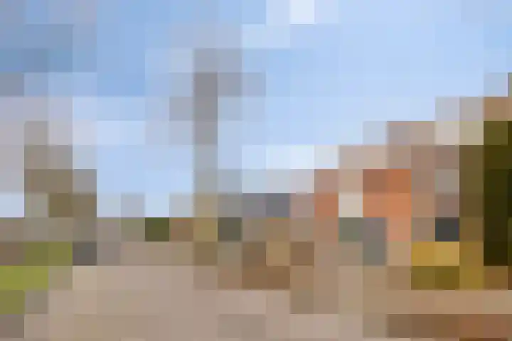 Alardstraat 42 Uden thumbnail 34