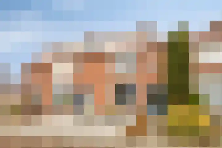 Alardstraat 42 Uden thumbnail 5