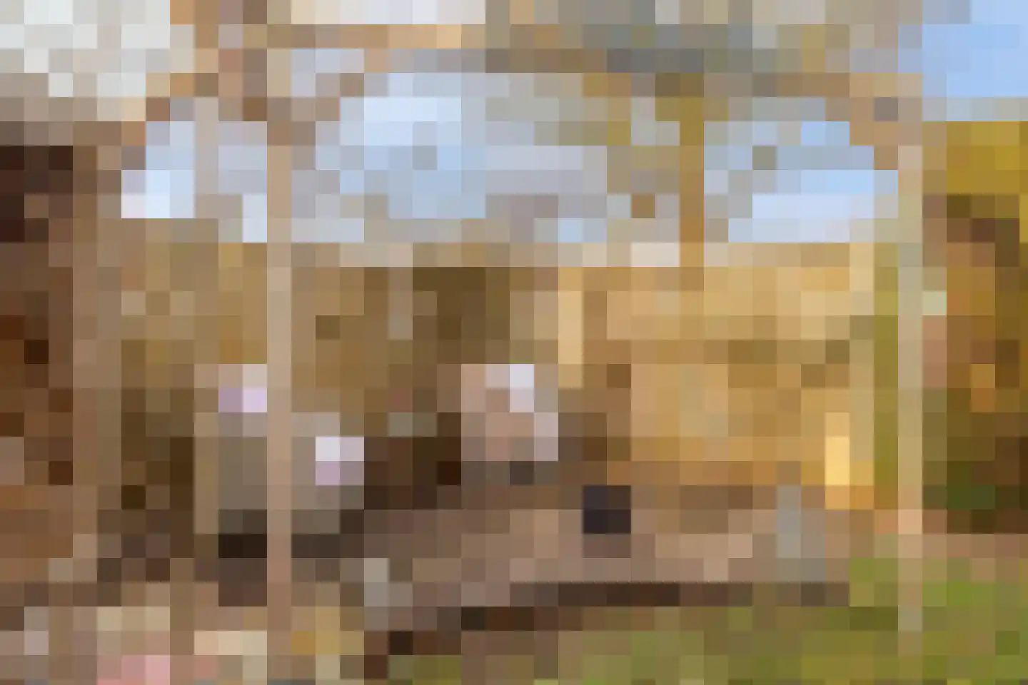 Albast 2 Leusden thumbnail 19