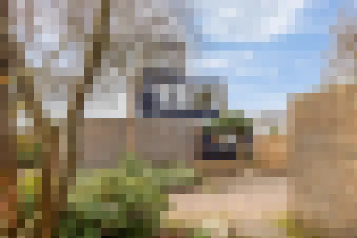 Albast 2 Leusden thumbnail 5