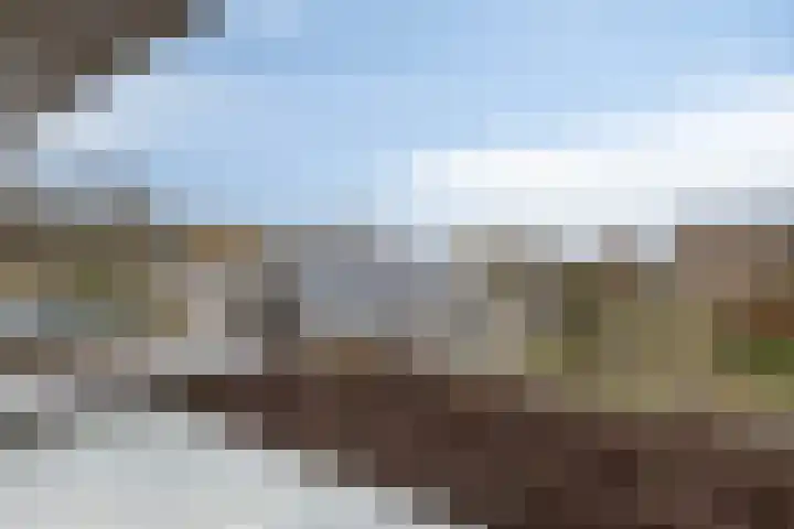 Albatroslaan 211 Lelystad thumbnail 20