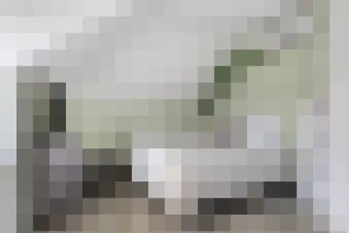 Albatroslaan 211 Lelystad thumbnail 29