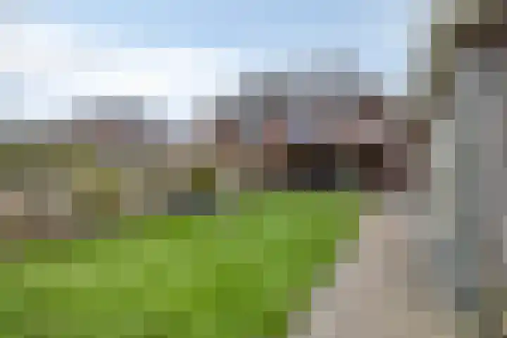 Albatroslaan 211 Lelystad thumbnail 34
