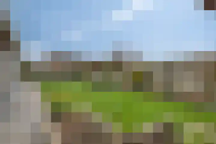 Albatroslaan 211 Lelystad thumbnail 35