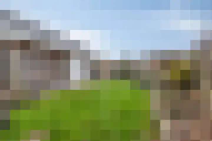 Albatroslaan 211 Lelystad thumbnail 36