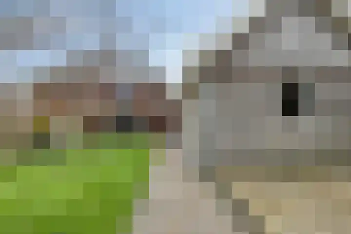 Albatroslaan 211 Lelystad thumbnail 38
