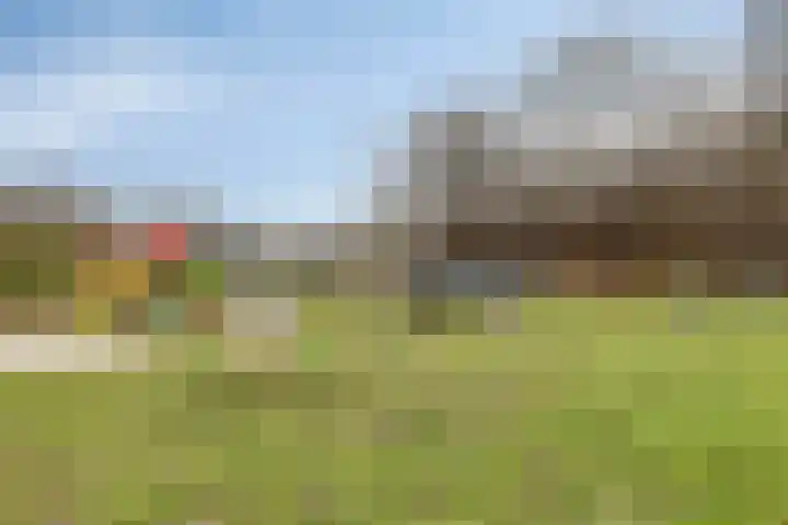 Albatroslaan 211 Lelystad thumbnail 47