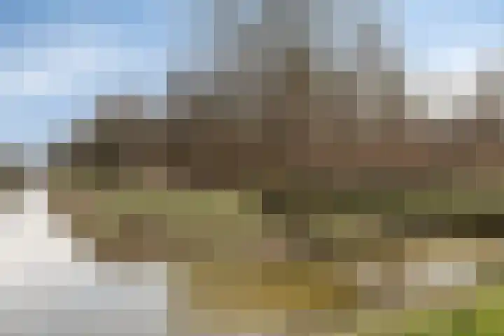Albatroslaan 211 Lelystad thumbnail 48