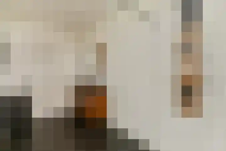 Albatrospad 141 Amsterdam thumbnail 13