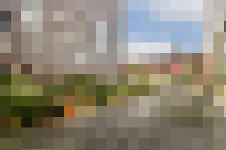 Albatrospad 141 Amsterdam thumbnail 16
