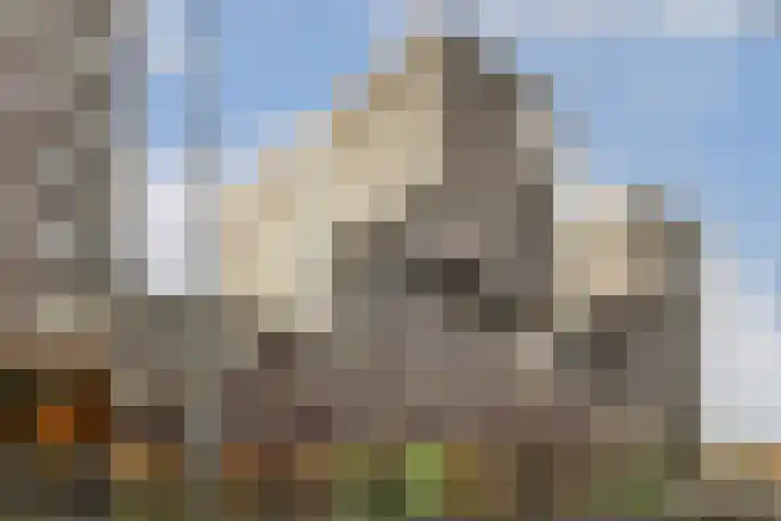 Albatrospad 141 Amsterdam thumbnail 17