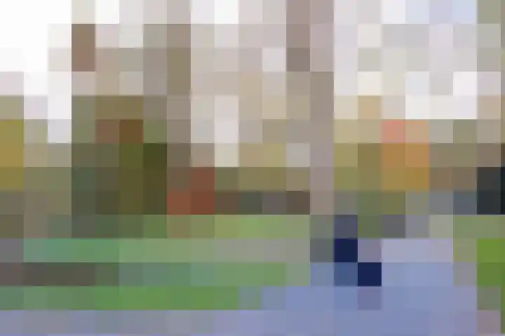 Albatrospad 141 Amsterdam thumbnail 20