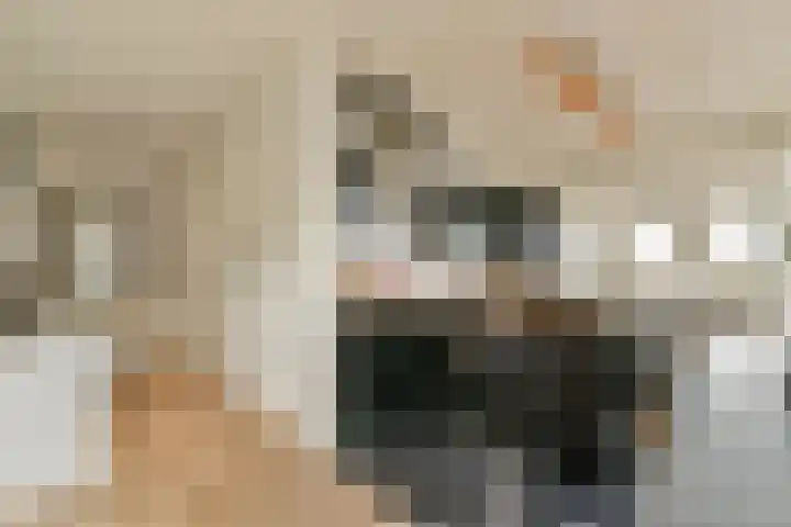 Albatrospad 141 Amsterdam thumbnail 6