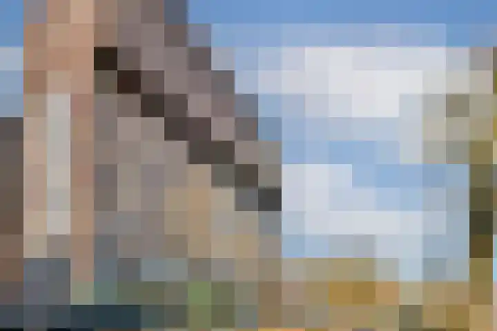 Albatrospad 27 Amsterdam thumbnail 18
