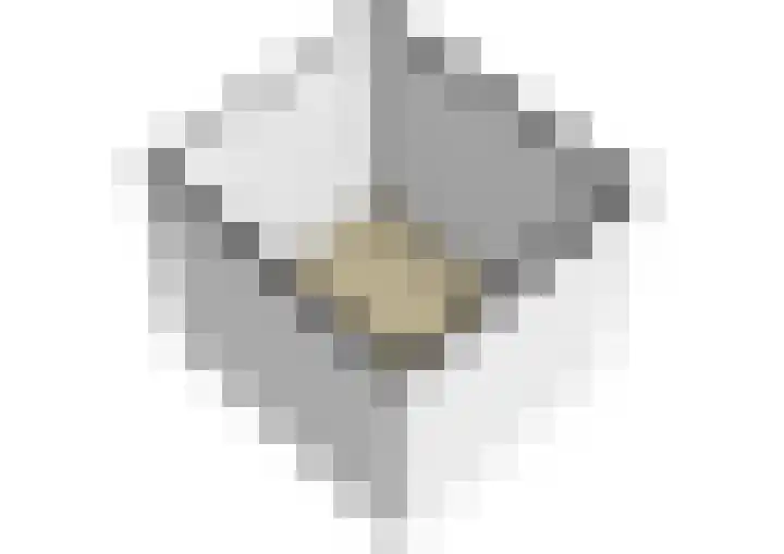 Albatrospad 27 Amsterdam thumbnail 24