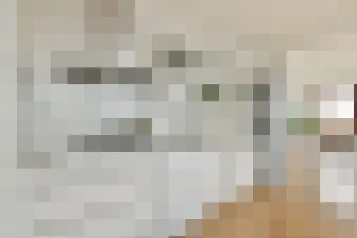 Albatrospad 27 Amsterdam thumbnail 6