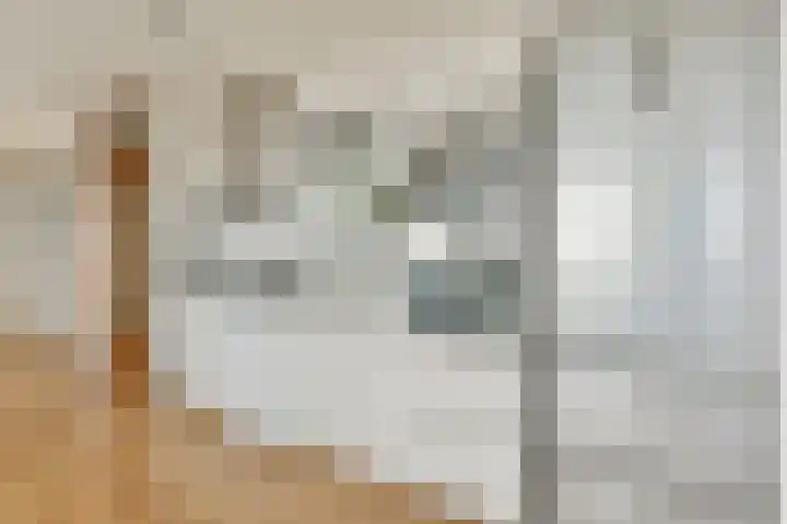 Albatrospad 27 Amsterdam thumbnail 7
