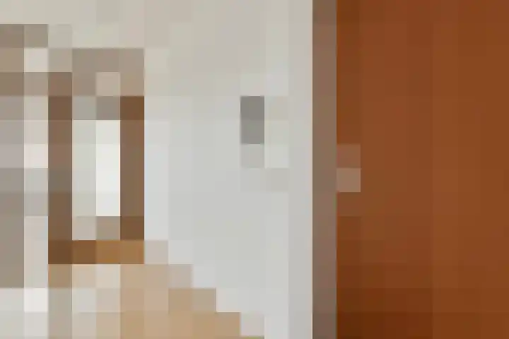 Albatrospad 27 Amsterdam thumbnail 9