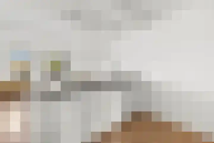 Albatrospad 8 Amsterdam thumbnail 10