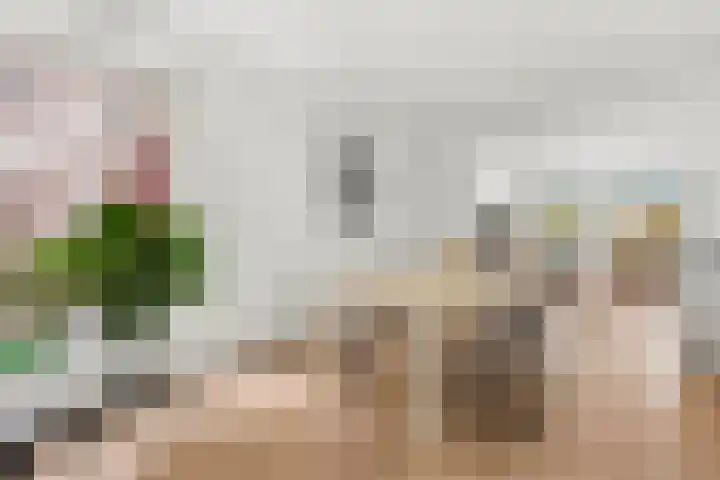 Albatrospad 8 Amsterdam thumbnail 16