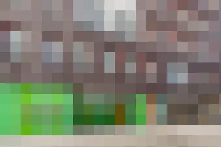 Albatrospad 8 Amsterdam thumbnail 30