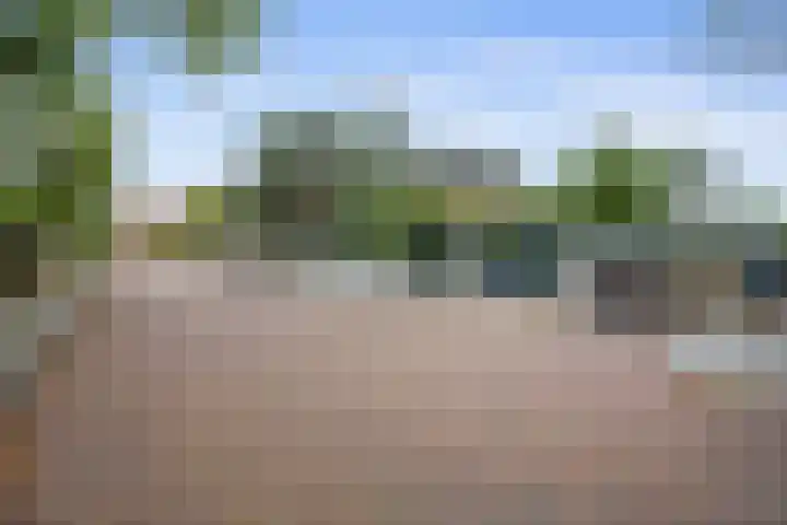 Albatrospad 8 Amsterdam thumbnail 33