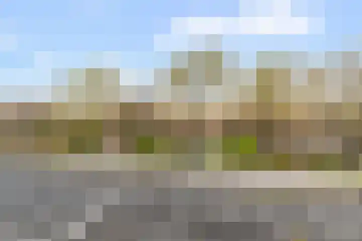 Albatrospad 8 Amsterdam thumbnail 4