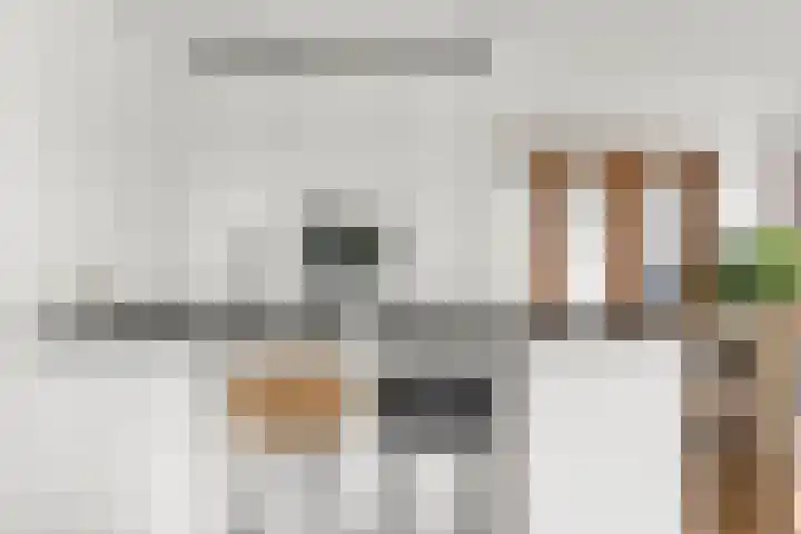 Albatrospad 8 Amsterdam thumbnail 7