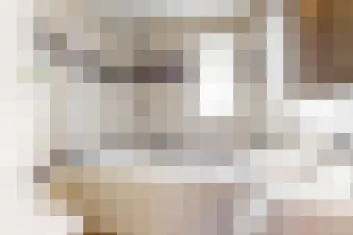 Albatrosstraat 4 Leiderdorp thumbnail 22