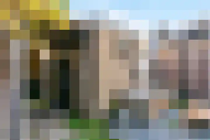 Albatrosstraat 4 Leiderdorp thumbnail 38