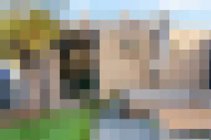 Albatrosstraat 4 Leiderdorp thumbnail 39