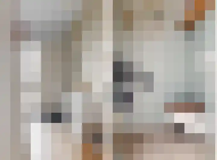 Albatrosstraat 4 Leiderdorp thumbnail 7