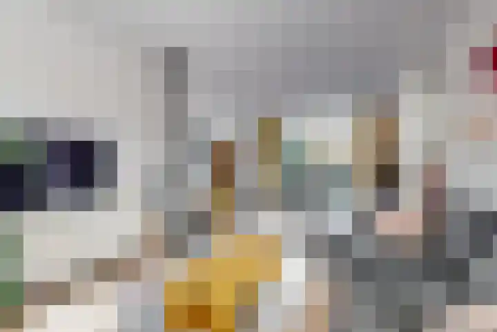 Albatrosstraat 4 Leiderdorp thumbnail 8