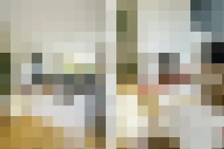 Alberikpad 17 Amersfoort thumbnail 13