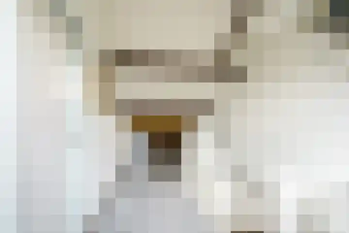 Alberikpad 17 Amersfoort thumbnail 25