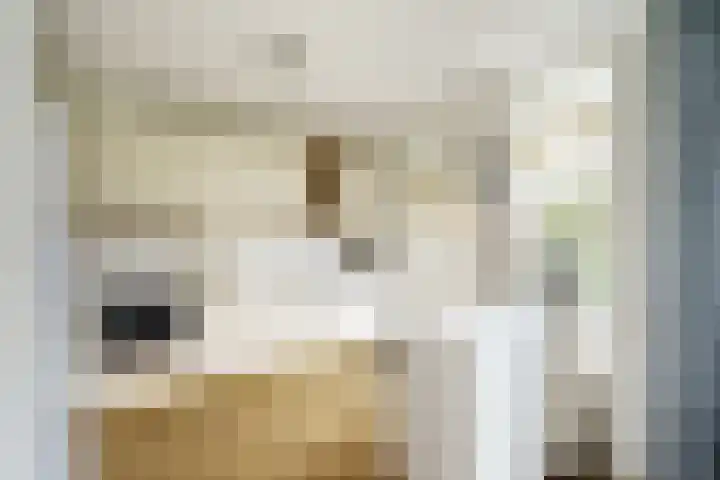 Alberikpad 17 Amersfoort thumbnail 8