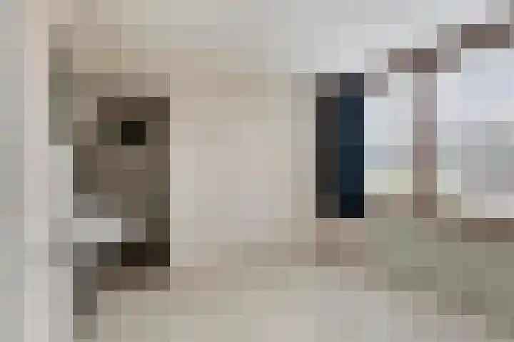 Albert Cuypplein 6 Maassluis thumbnail 15