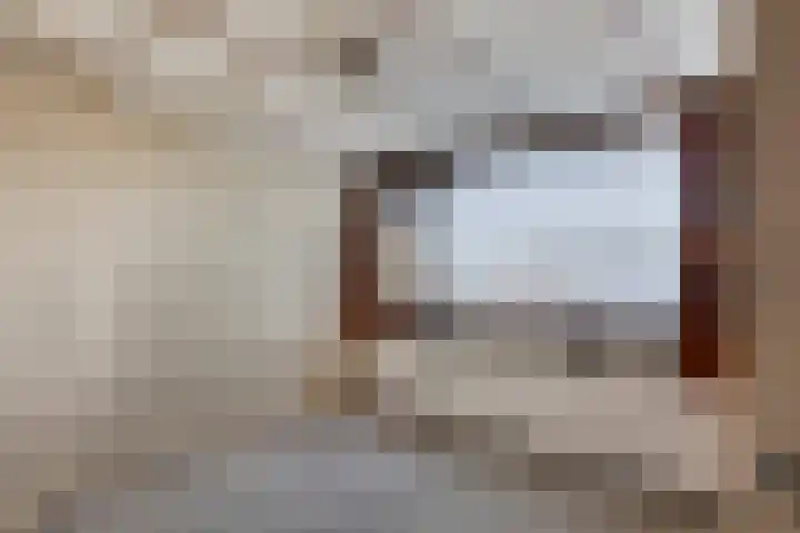 Albert Cuypplein 6 Maassluis thumbnail 21