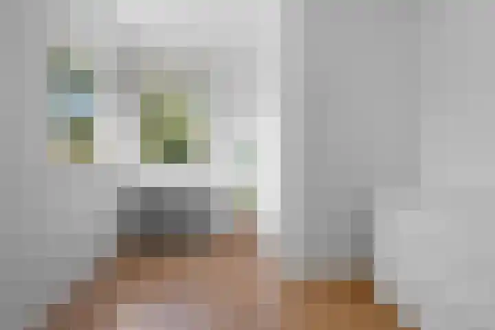 Albert Cuypstraat 2 Arnhem thumbnail 34