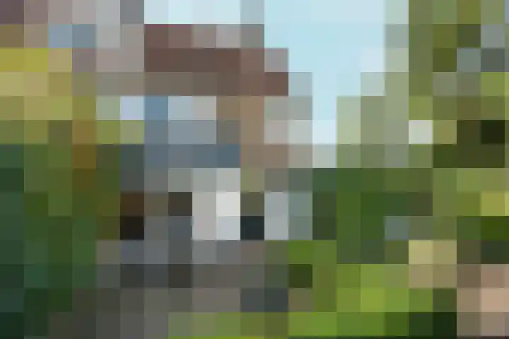 Albert Cuypstraat 2 Arnhem thumbnail 48