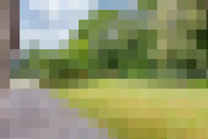 Albert Cuypstraat 2 Kerkrade thumbnail 34