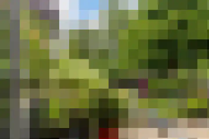 Albert Einsteinweg 51 De Bilt thumbnail 13