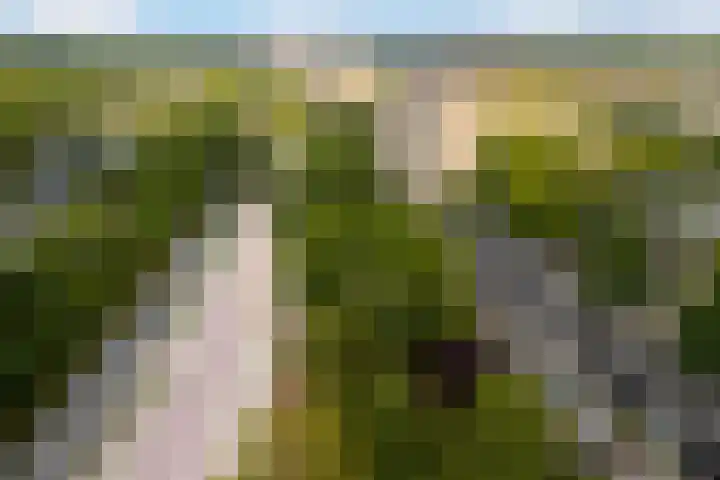 Albert Einsteinweg 51 De Bilt thumbnail 22